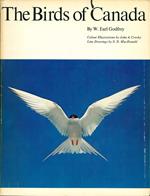 The Birds of Canada. Colour illustrations by John A. Crosby. Line drawings by S.D. MacDonald
