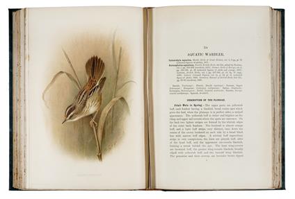 The British Warblers. A History with Problems of their Lives [illlustrated by Henrik Gronvold] - Henry Eliot Howard - copertina