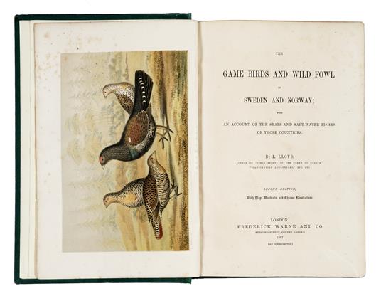 The game birds and wild fowl of Sweden and Norway with an account of the seals and salt-water fishes of those countries. Second edition - Llewelyn Lloyd - copertina