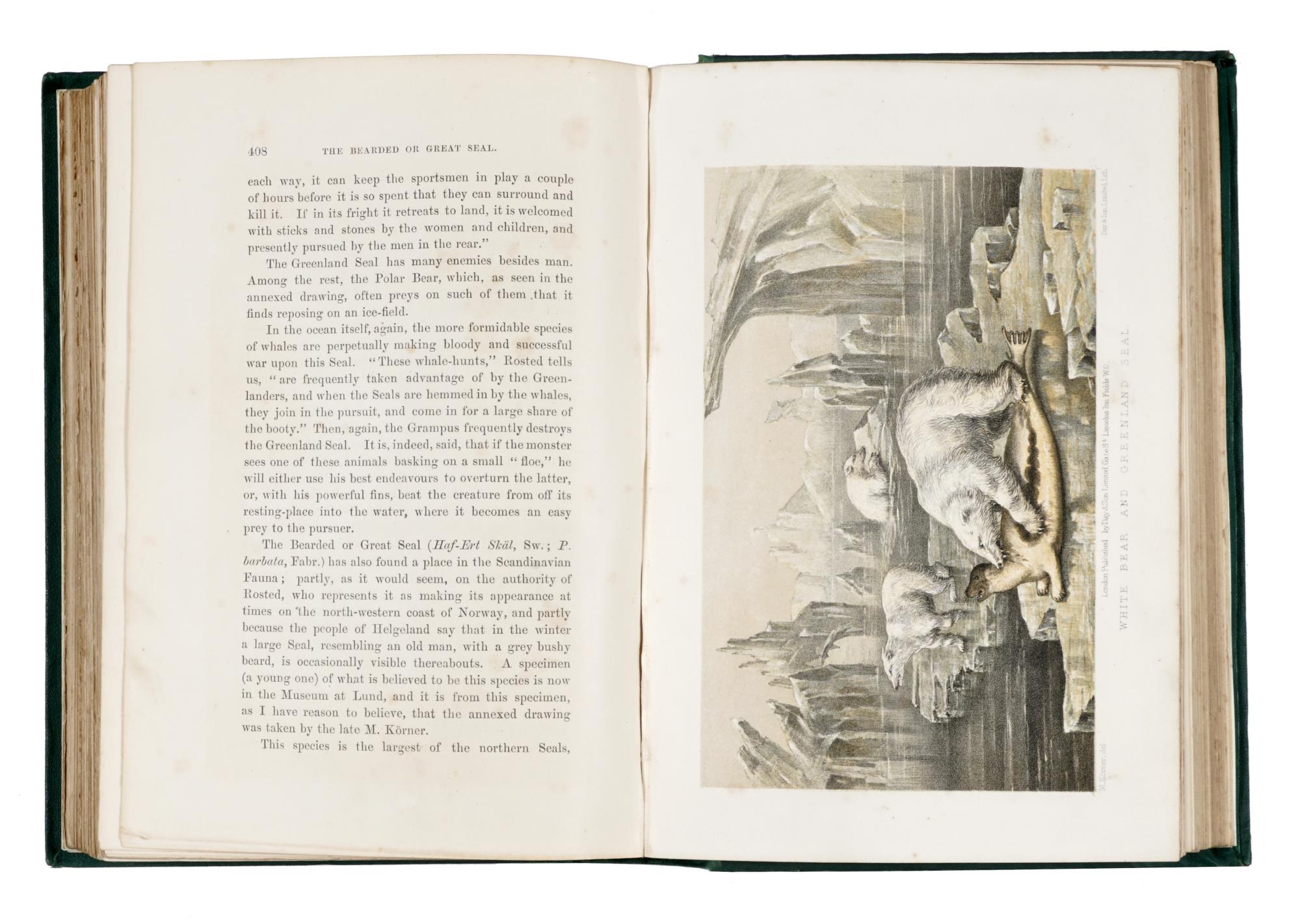 The game birds and wild fowl of Sweden and Norway with an account of the seals and salt-water fishes of those countries. Second edition