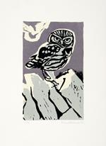 Eight by Eight. A boxed folio of original prints – lithographs, etchings & linocuts of eight European owls by eight artists