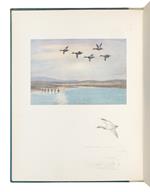A bird painter's sketch book
