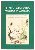Il mio giardino mondo incantato. Vol. 2. Il ragno, la libellula, la rana, la cicala, il lombrico, la lucertola