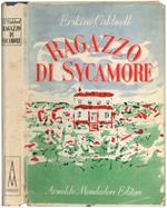 Ragazzo di Sycamore