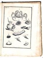 De conchis minus notis liber cui accessit specimen aestus reciproci marsi superi ad littus portumque arimini. Editio altera duplici appendice aucta