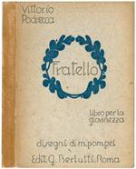 Fratello. Libro per la giovinezza