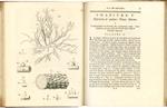 Essai sur l'histoire naturelle de la mer Adriatique par le docteur Vitaliano Donati, avec une lettre du docteur Leonard Sesler, sur une nouvelle espece de plante terrestre, traduit de l'Italien
