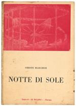 Notte di sole