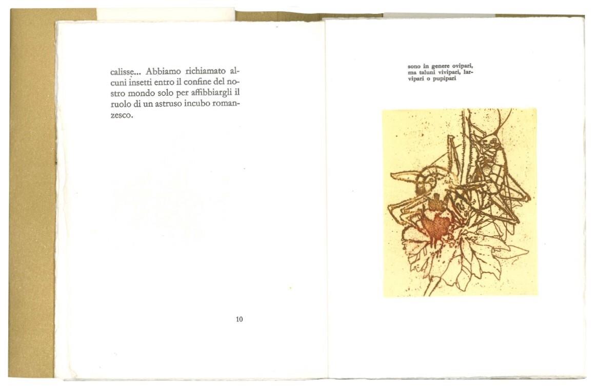 Insettario. 17 acqueforti di Sergio Saroni. Testo e note di Giovanni Arpino