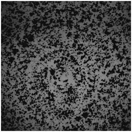 Le miroir comme tableau - Michelangelo Pistoletto - copertina