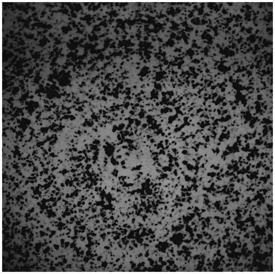 Le miroir comme tableau - Michelangelo Pistoletto - copertina