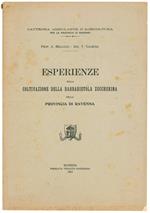 Esperienze sulla coltivazione della barbabietola zuccherina nella provincia di Ravenna