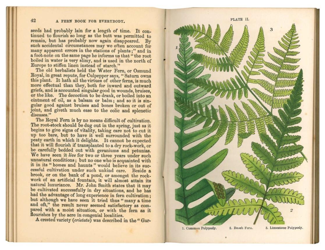 Libreria Alberto Govi