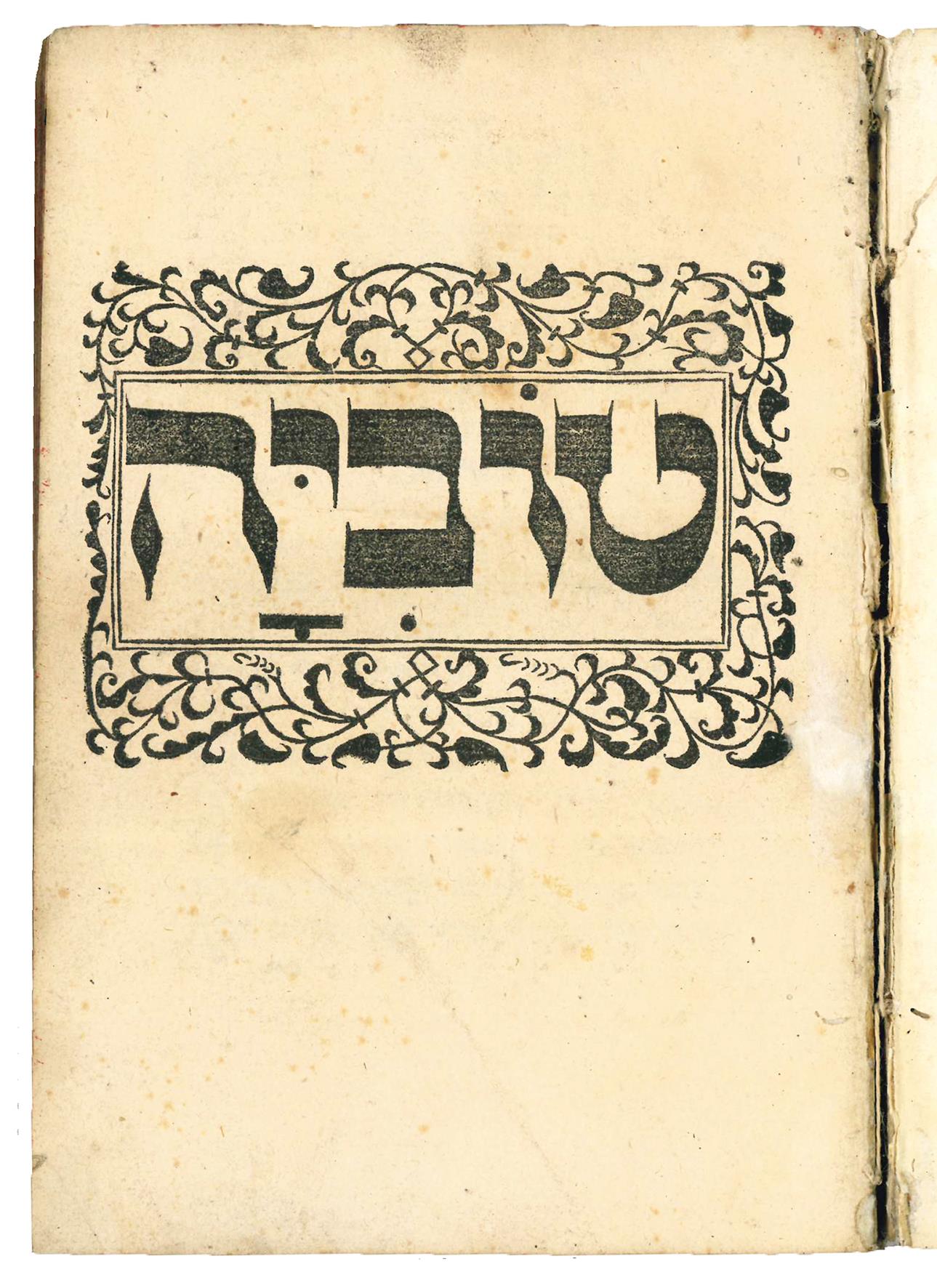 Libreria Alberto Govi