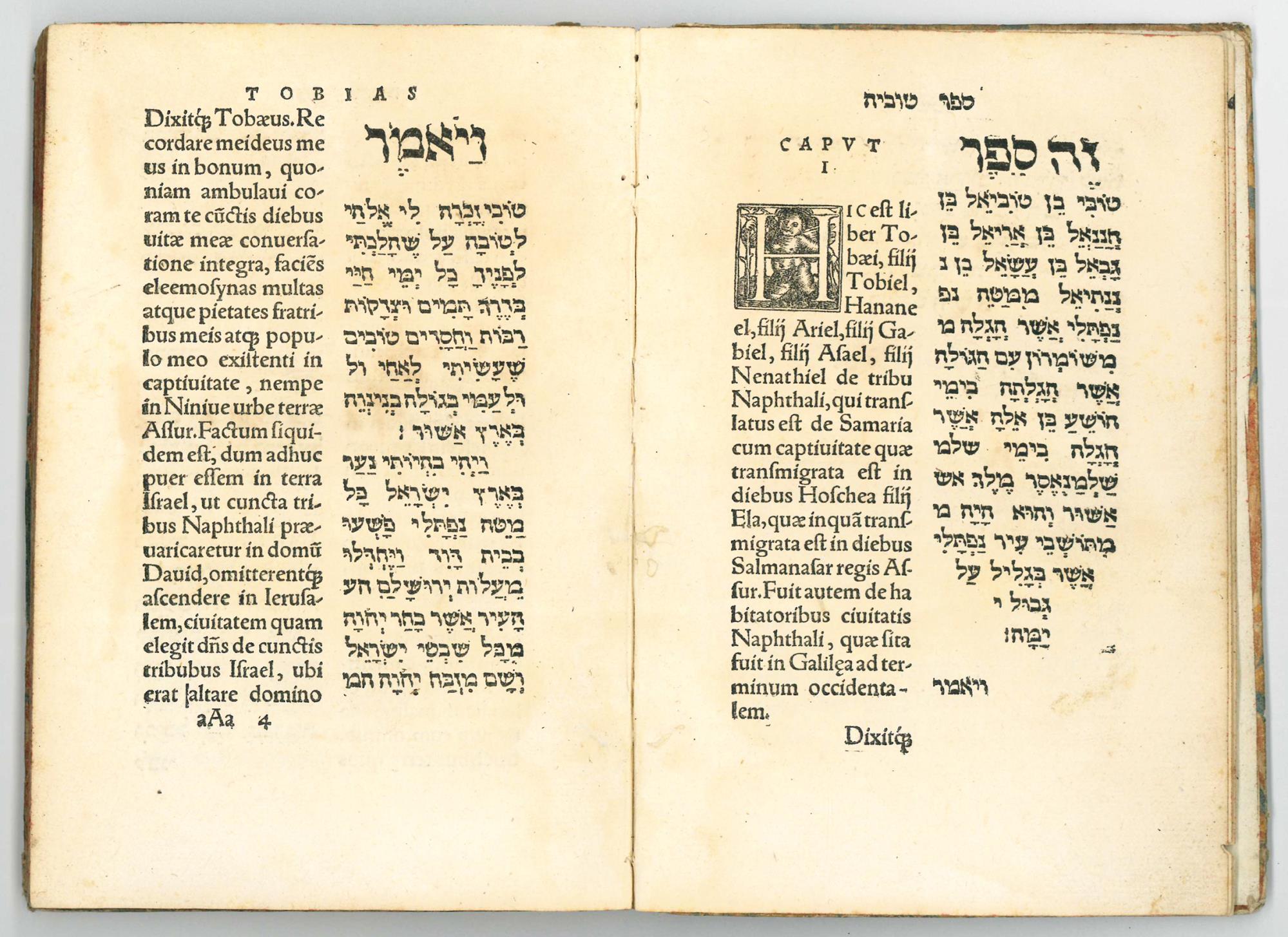 Historia Tobiae per Sebastianum Munsterum iuxta Hebraismum versa. Unà cum scholijs eiusdem interpretis