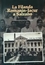 La filanda Romanin-Jacur a Salzano: studi e ricerche