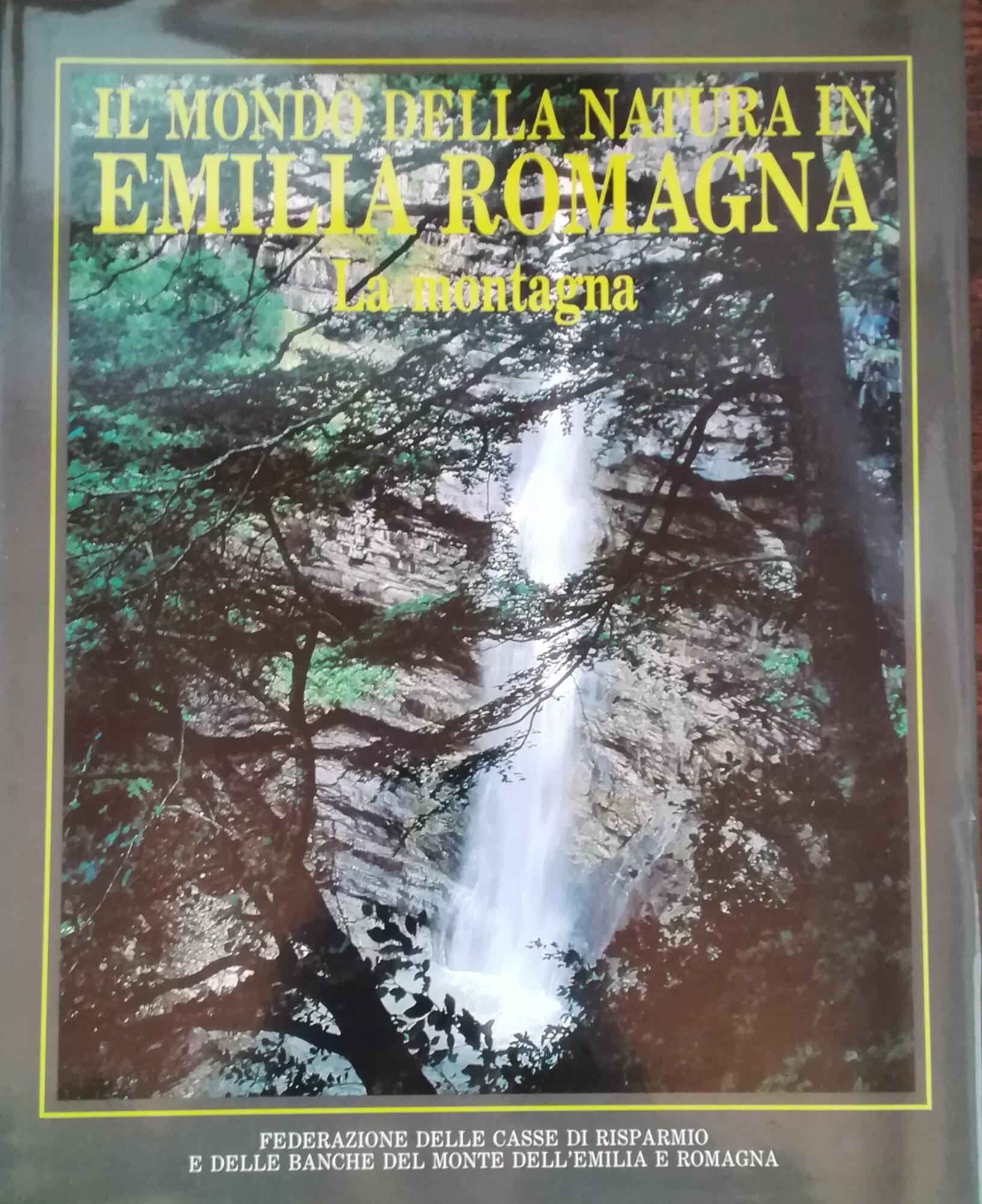 Libreria Volume Secondo