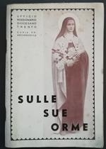 Sulle orme di S. Teresa del B. G