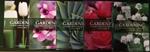Gardening (5 volumi opera completa)