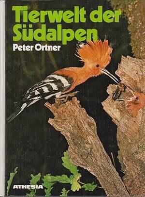Tierwelt der Südalpen unter besonderer Berücksichtigung Südtirols - Peter Ortner - copertina