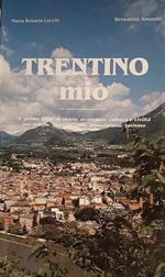 Trentino mio: il primo libro di storia, economia, cultura e viciltà per scuole, famigle, enti, associazioni, turismo