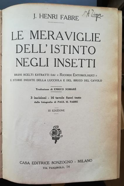 Le meraviglie dell'istinto negli insetti: brani scelti estratti dai 'Ricordi Entomologici' e storie inedite della lucciola e del bruco del cavolo - Jean Henri Fabre - copertina