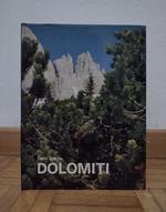 Dolomiti