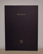 Pusole: standard: opere 2002