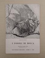 I fossili di Bolca [Estratto da Natura Alpina, Anno XXII - 1971 - N. 2]