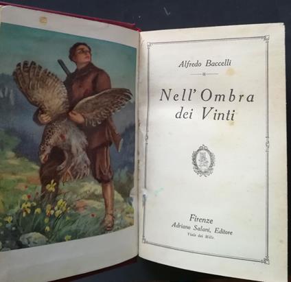 Nell'ombra dei vinti - Alfredo Baccelli - copertina