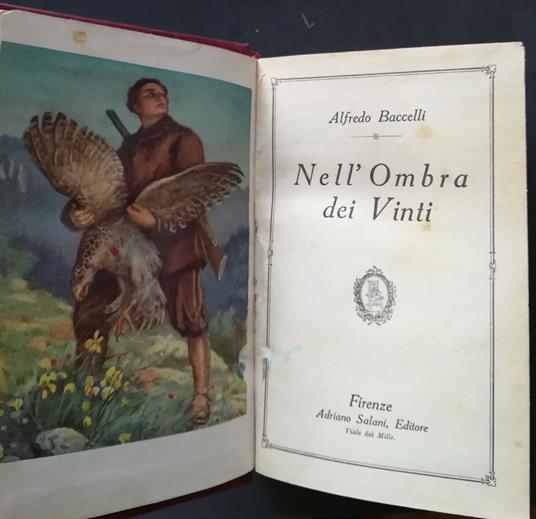Nell'ombra dei vinti - Alfredo Baccelli - copertina