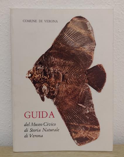 Guida del Museo Civico di Storia Naturale di Verona - Giannella Vesentini Paiotta - copertina
