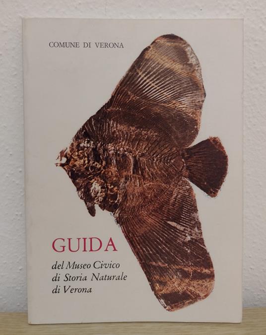 Guida del Museo Civico di Storia Naturale di Verona - Giannella Vesentini Paiotta - copertina
