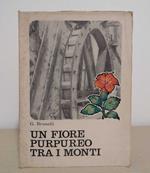 Un fiore purpureo tra i monti