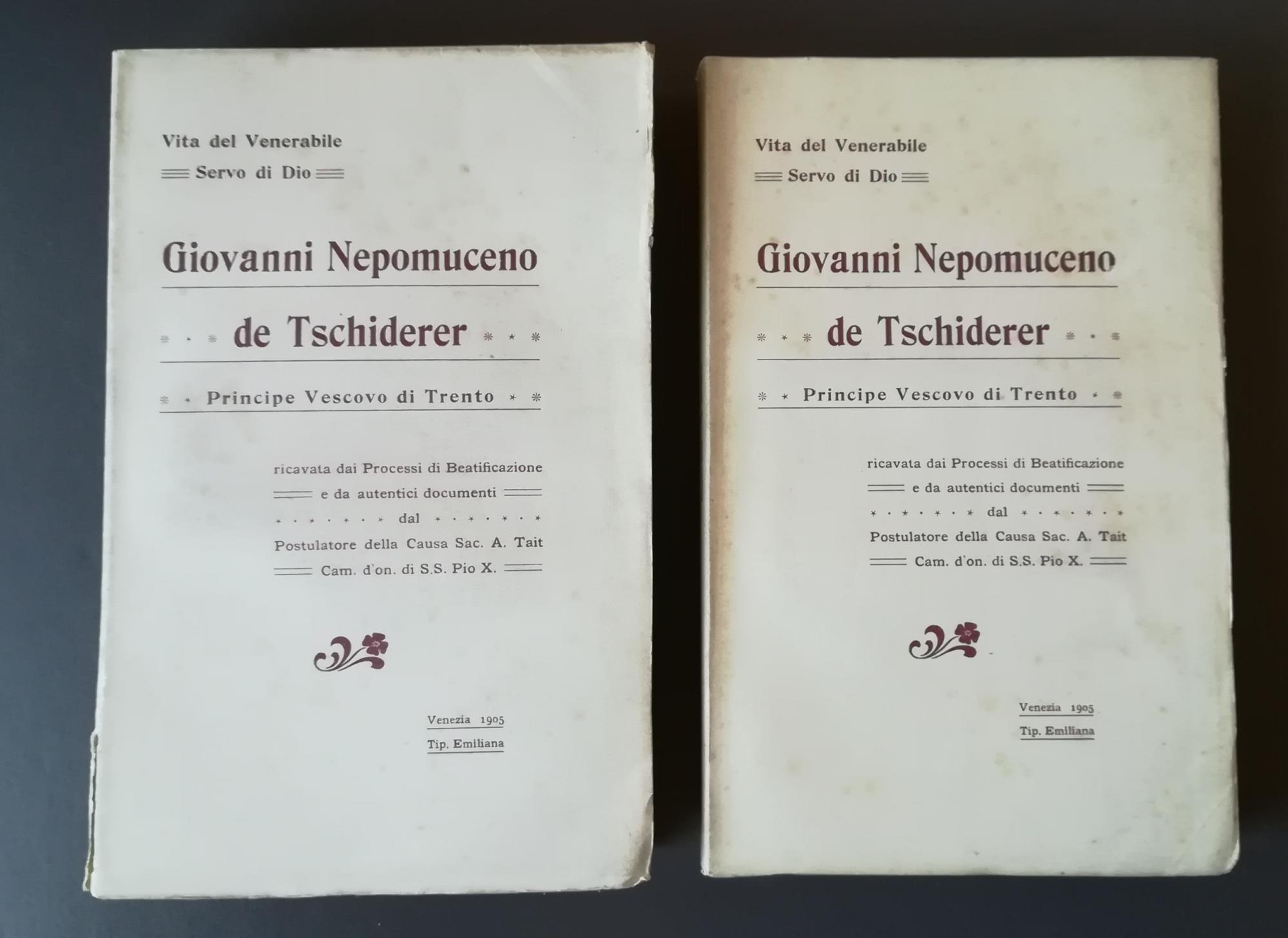 Vita del venerabile servo di Dio Giovanni Nepomuceno de Tschiderer principe vescovo di Trento: ricavata dai processi di beatificazione e da autentici documenti