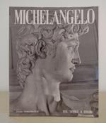 Michelangelo: pittore, scultore, architetto