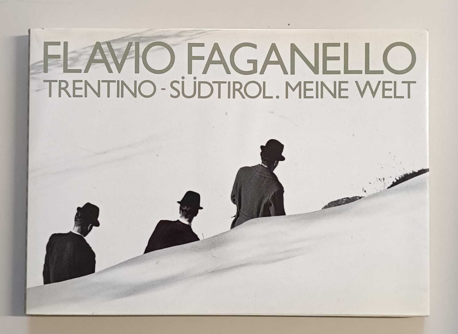Flavio Faganello: Trentino, Südtirol. Meine Welt