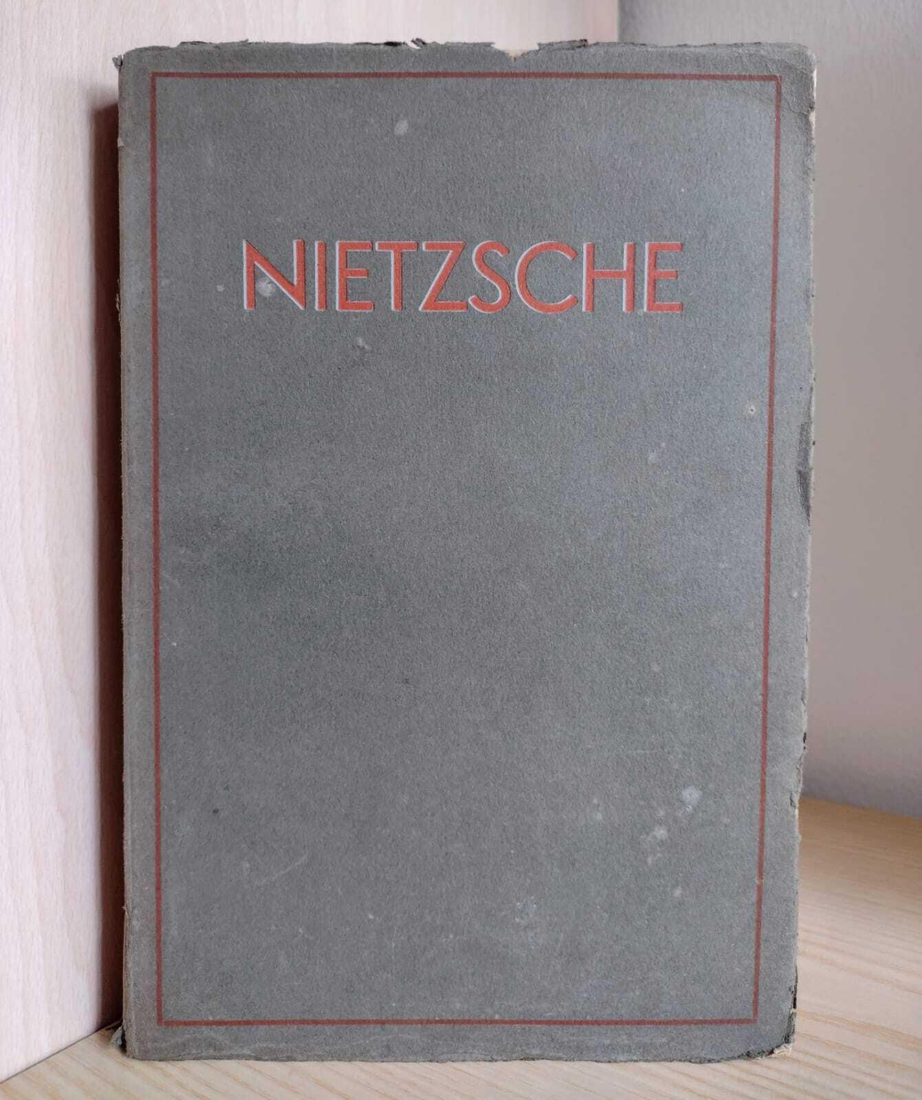 Nietzsche: Interpretazione del pensiero e della vita