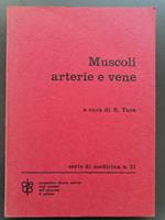 Muscoli arterie e vene