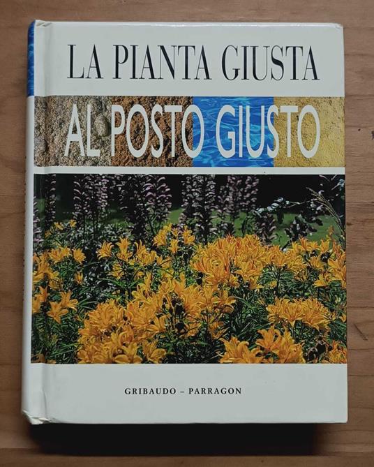La pianta giusta al posto giusto - copertina