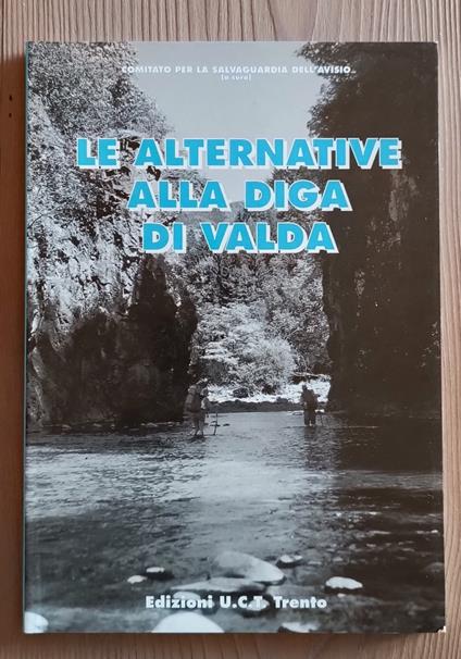 Le alternative alla diga di Valda per la salvaguardia di Trento: atti del Convegno - copertina