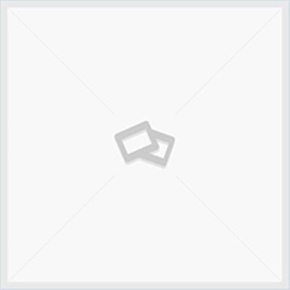 La Destrezza E L'Inganno: Saggio Sul Don Chisciotte Di Miguel De Cervantes Saavedra - Riccardo Campa - copertina