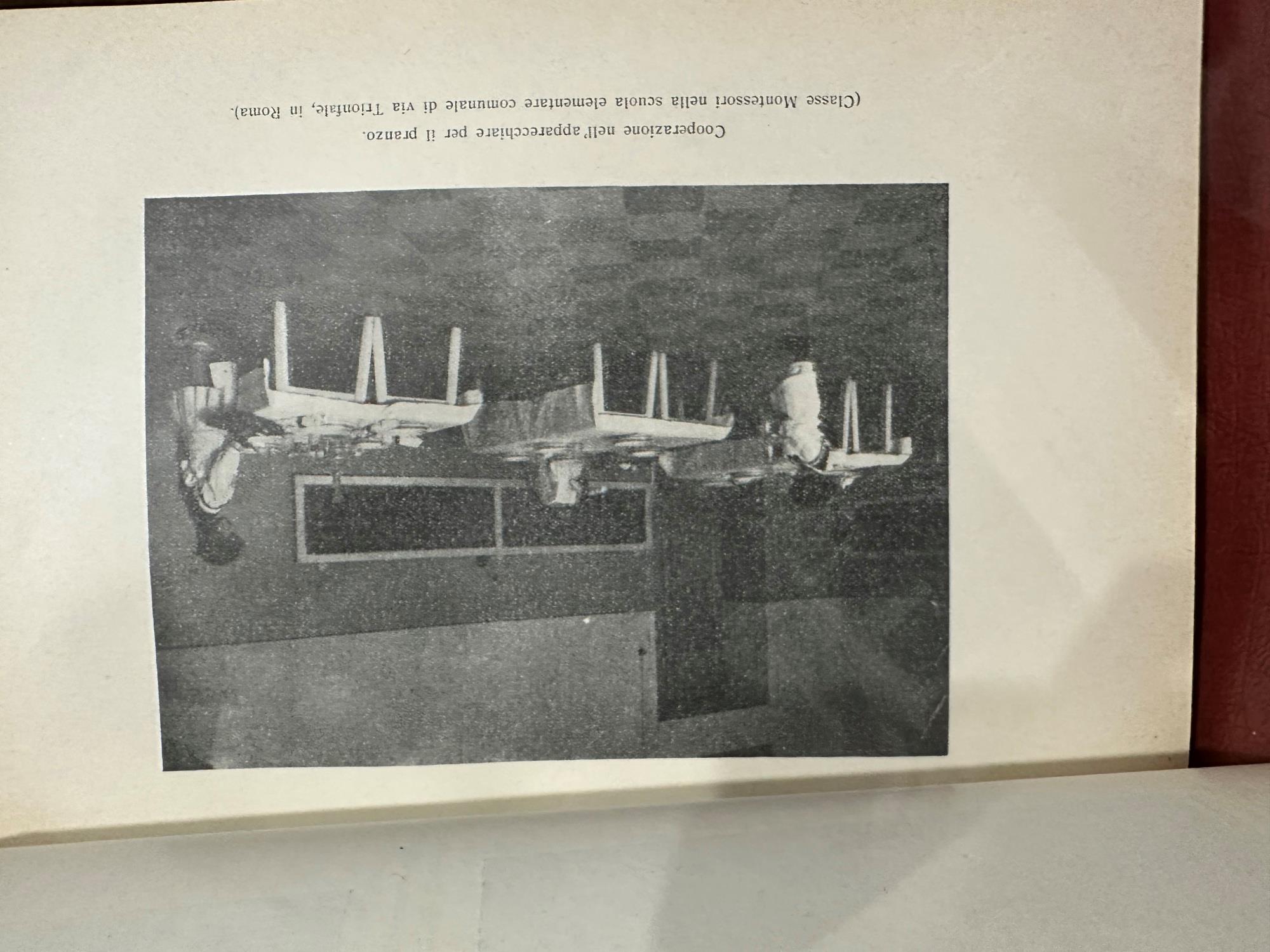 IL METODO DELLA PEDAGOGIA SCIENTIFICA applicato all'educazione infantile