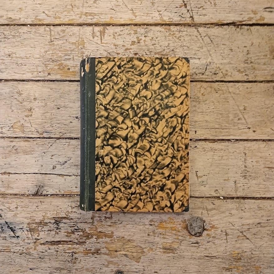 Libreria Catap Macerata