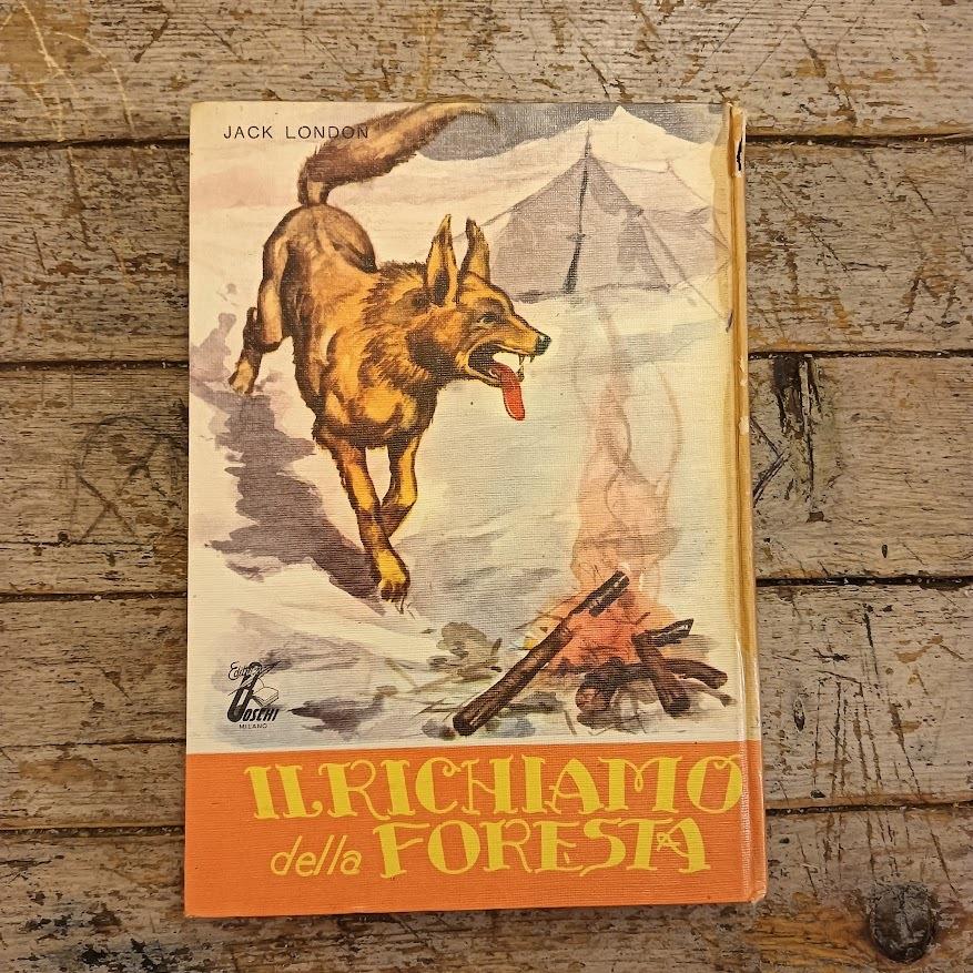 Libreria Catap Macerata