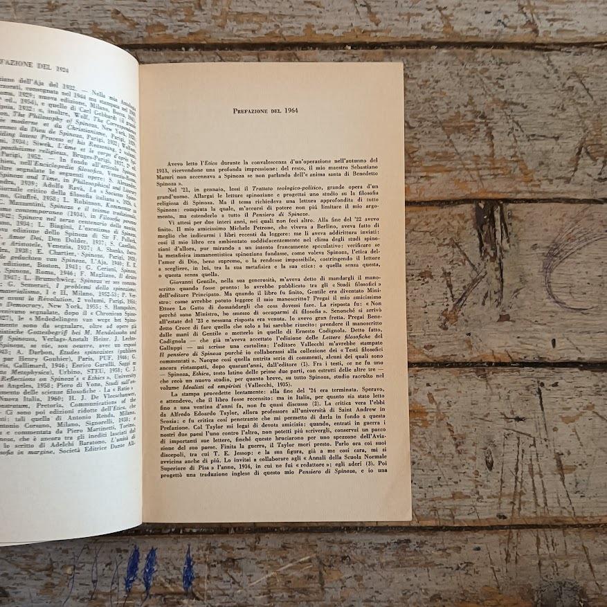 l pensiero di Spinoza