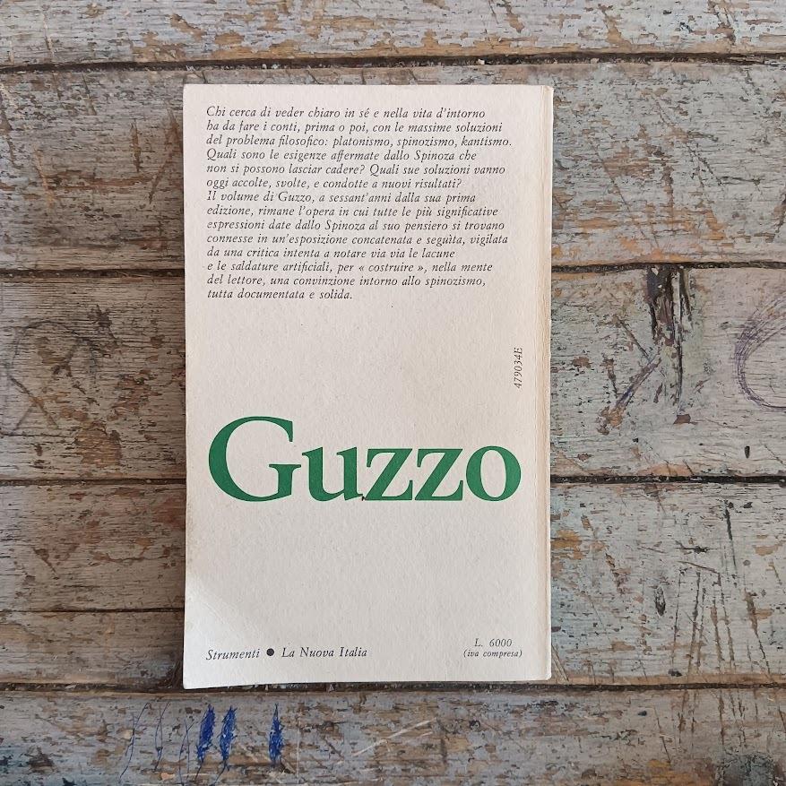 l pensiero di Spinoza
