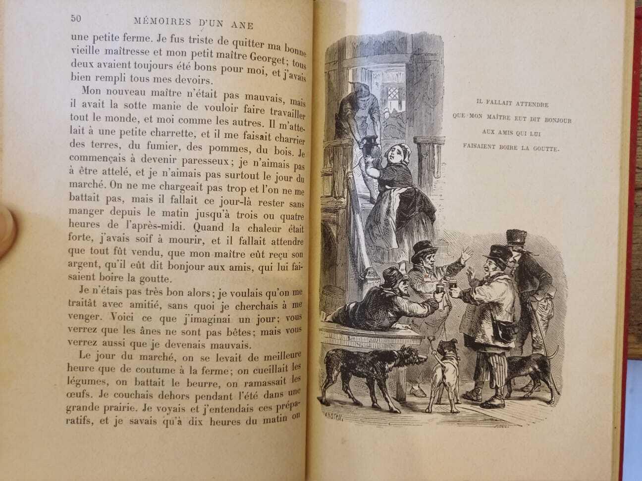 Mémoires d'un ane