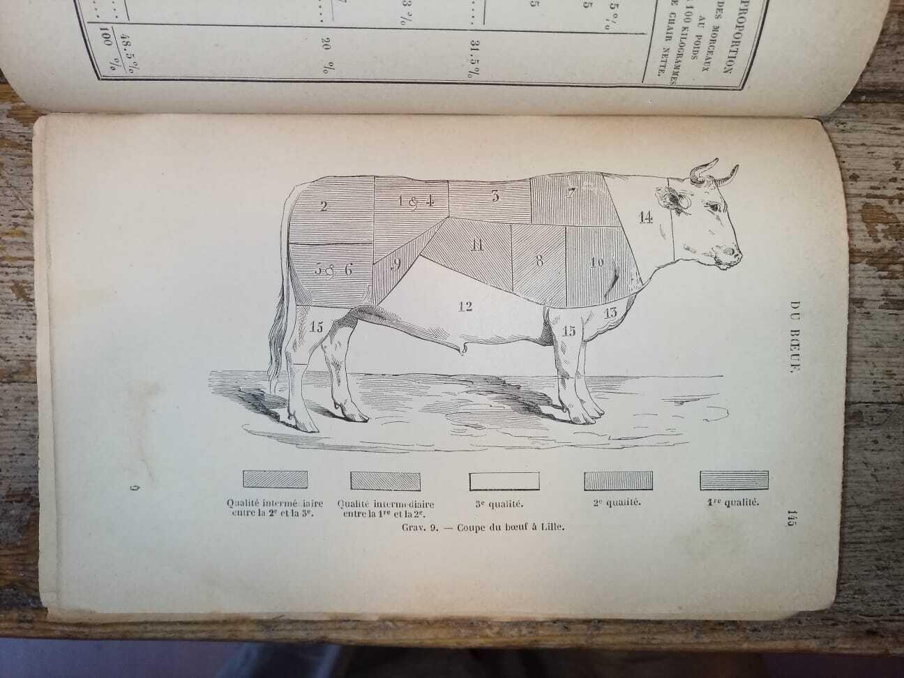 Libreria Catap Macerata