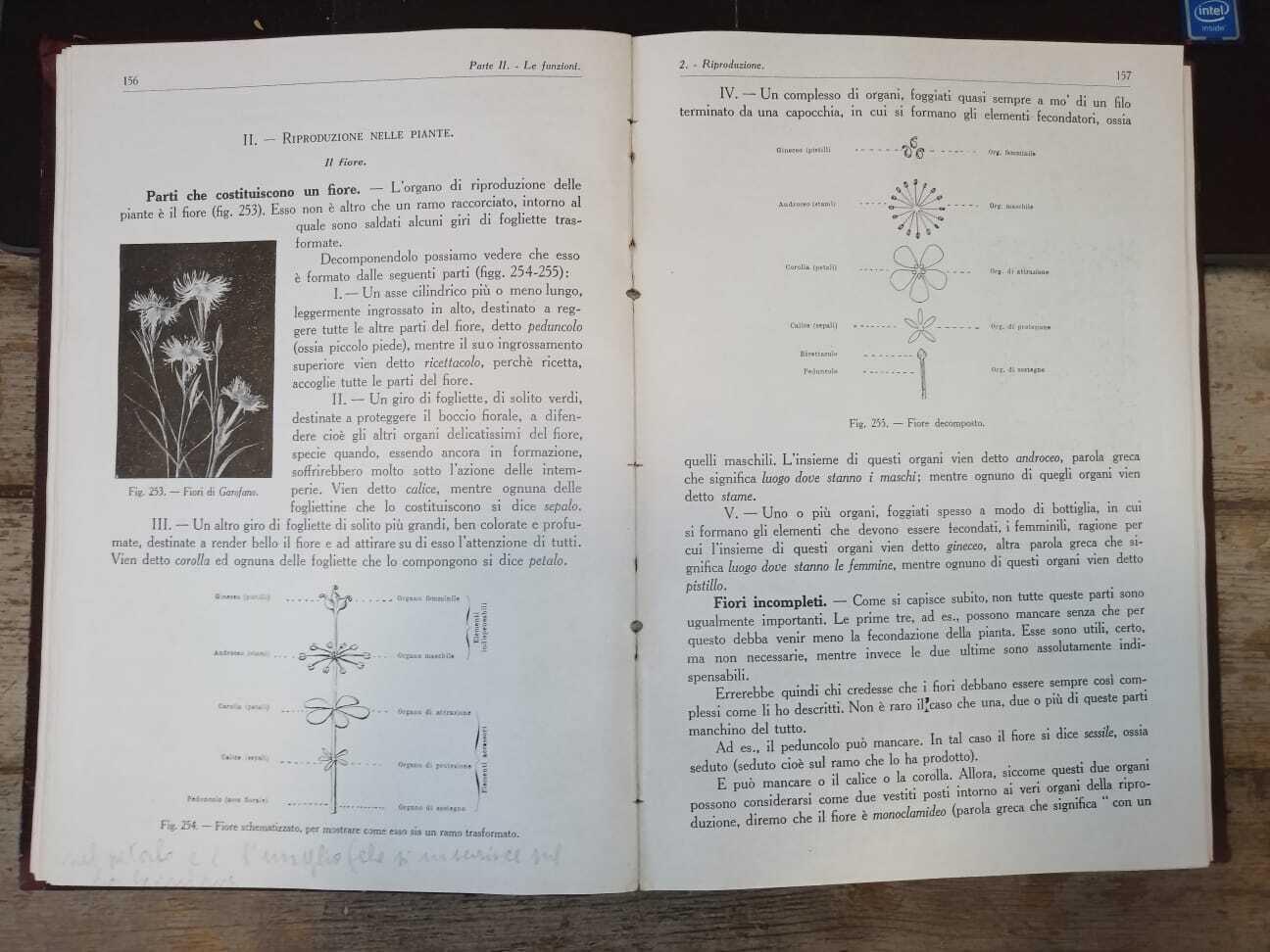 Libreria Catap Macerata